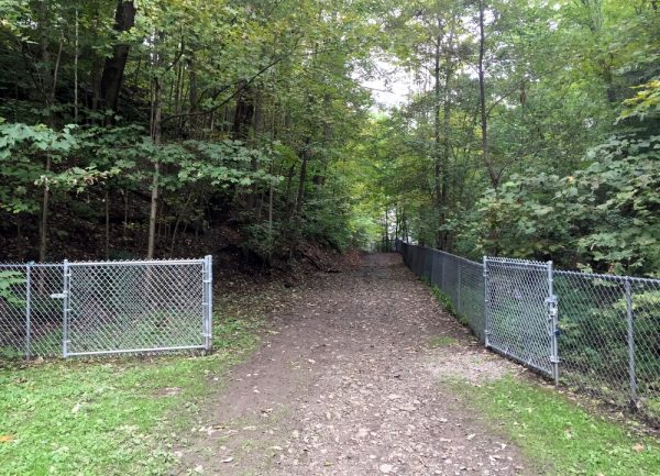 Trail to Waverly Glen Falls in the Finger Lakes