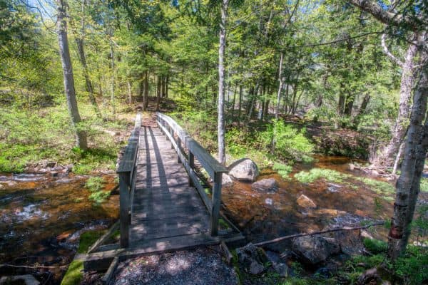 Island near Salisbury Center Covered Bridge in New York