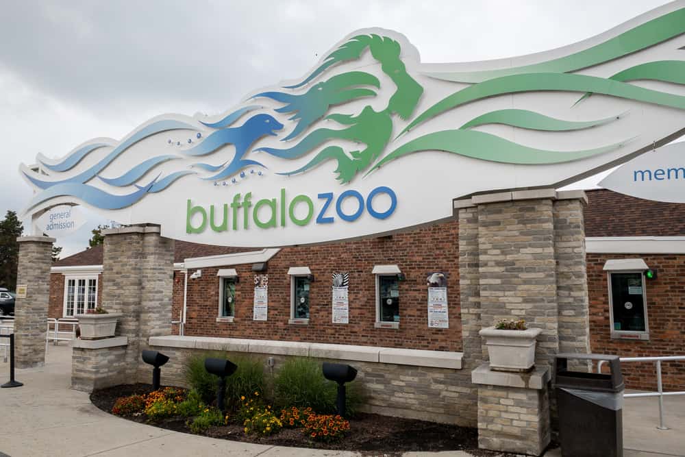 The Buffalo Zoo: Exploring the United State's 3rd Oldest Zoo ...