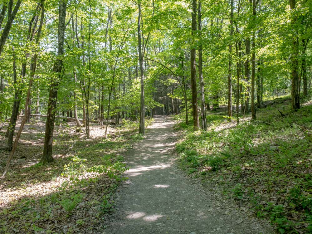 Hiking to the Beautiful Waterfalls at High Falls Conservation Area in Philmont Uncovering New York