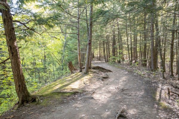 Trail in Plotter Kill Preserve in Schenectady County, NY
