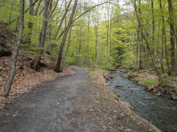 Trail to Tinkers Falls in Cortland County, NY