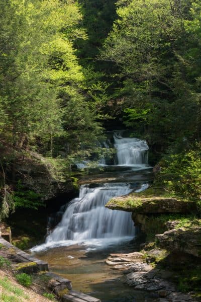 Tompkins Falls in the Delaware Wild Forest of the Catskills