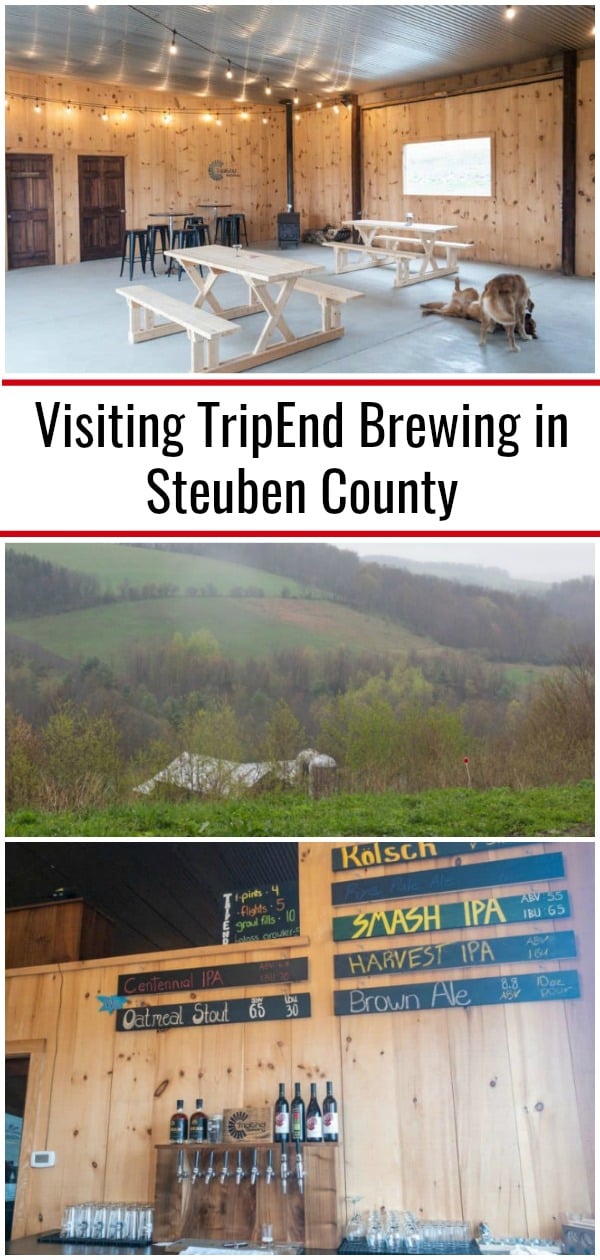 Checking out the Tasty Brews at TripEnd Brewing in Steuben County