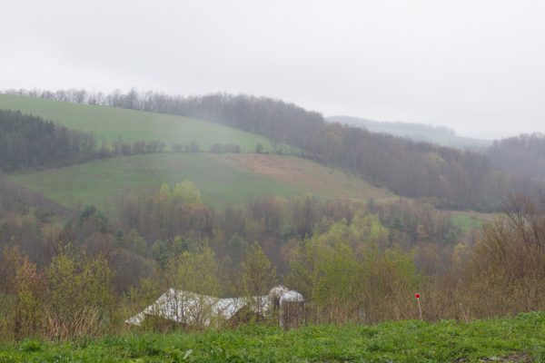 View from TripEnd Brewing in Steuben County New York