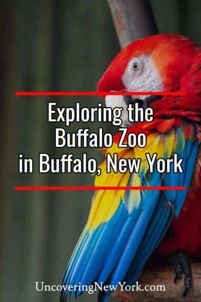 The Buffalo Zoo Hours