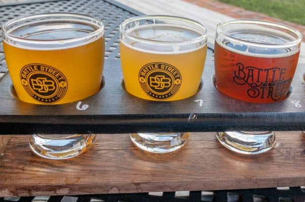 Review of Battle Street Brewery in Dansville, New York