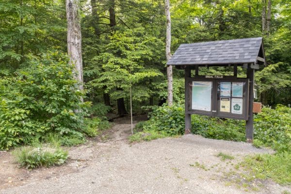 Trail to Bridal Falls in Allegany State Park in southwestern New York