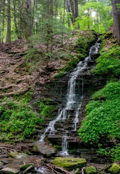 Bridal Falls in Allegany State Park in southwestern NY