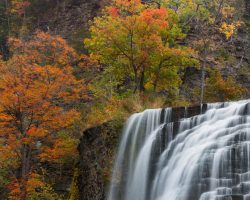 8 Great Things to Do in New York in October