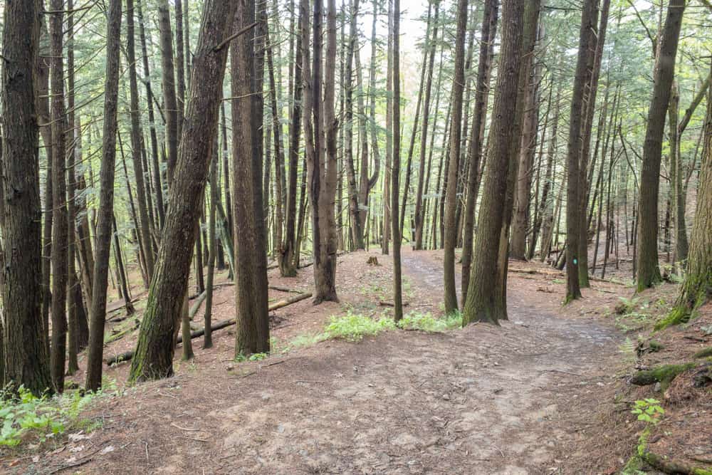 How to Get to Mine Kill Falls in Mine Kill State Park - Uncovering New York