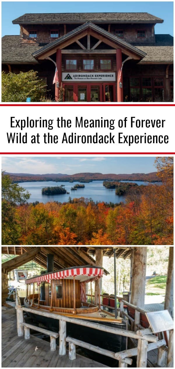 Exploring the Meaning of Forever Wild at the Adirondack Experience