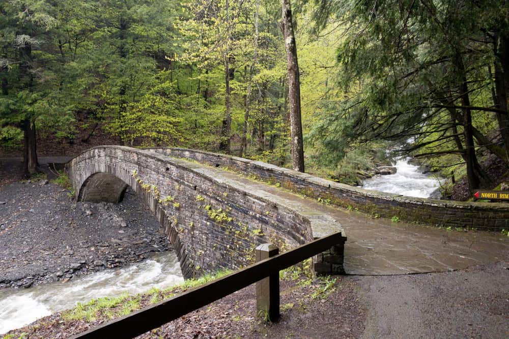 Hiking to the Waterfalls in Fillmore Glen State Park - Uncovering New York