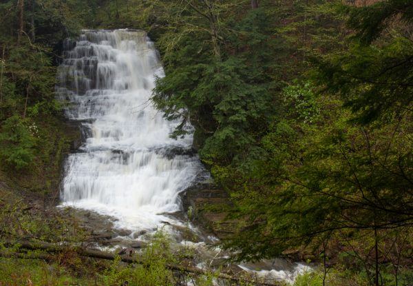 Waterfall on Dry Creek in Fillmore Glen State Park