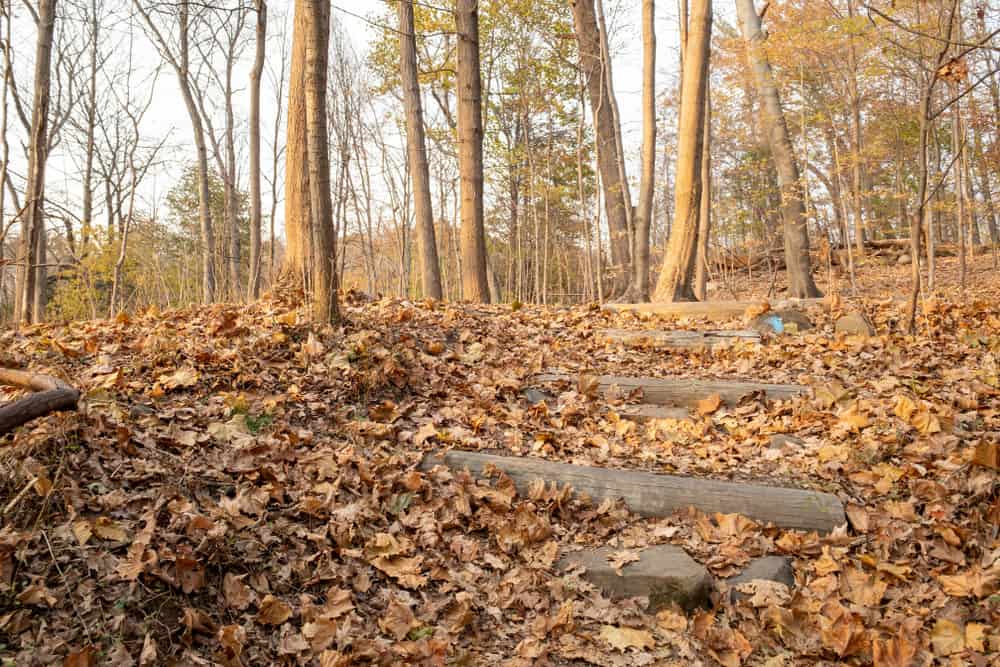 Hiking in Buttermilk Falls Park in Nyack, New York Uncovering New York