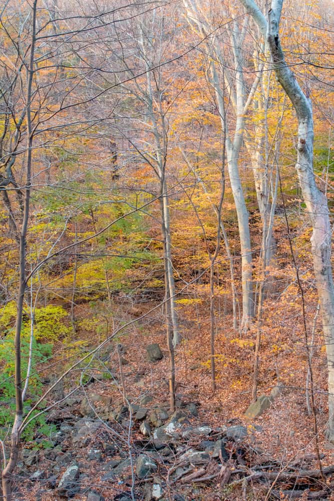 Hiking in Buttermilk Falls Park in Nyack, New York Uncovering New York