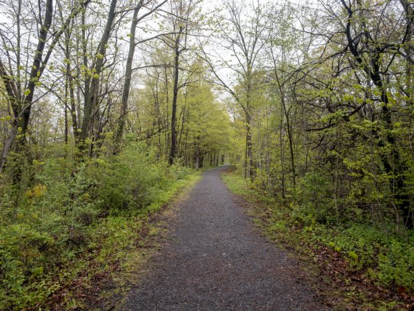 Ontario Pathways in Phelps NY