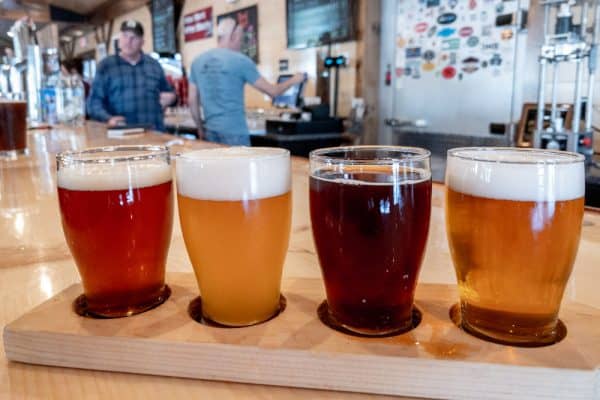 Flight of beers at Raquette River Brewing in Tupper Lake NY