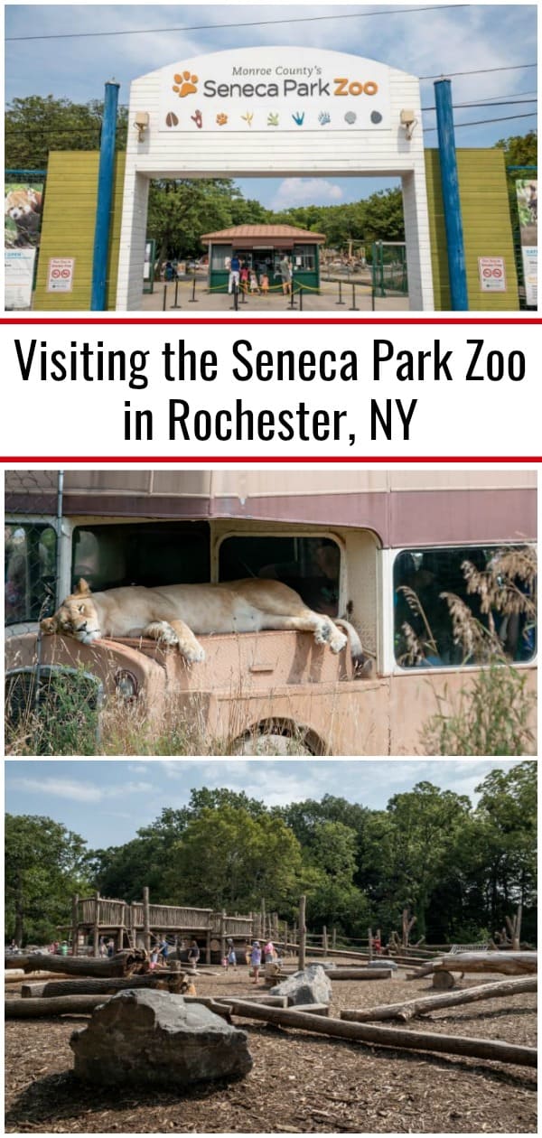 Visiting the Seneca Park Zoo in Rochester, NY Uncovering New York