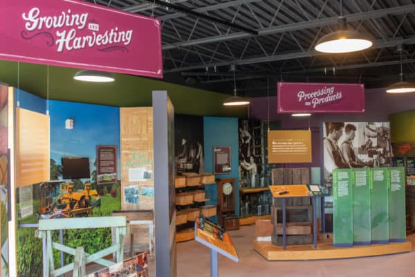Inside the Grape Discovery Center in the Lake Erie Wine Country