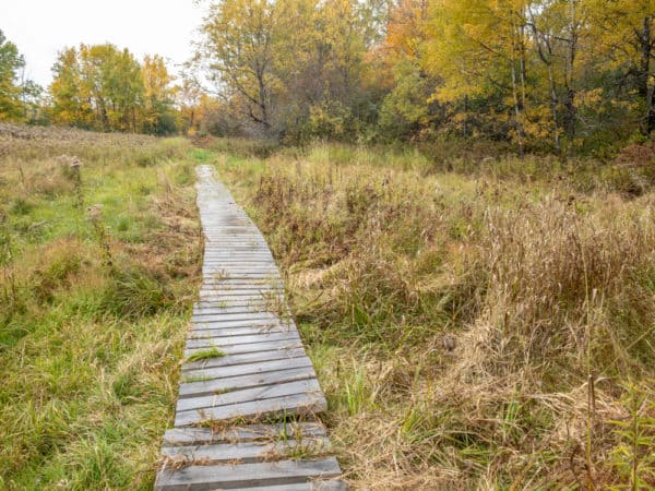 Boardwalk in Hart's Falls Preserve near Hermon New York