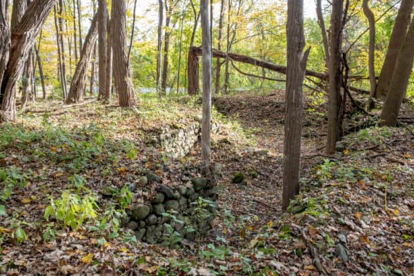 Stone foundation ruins in Ushers Road State Forest