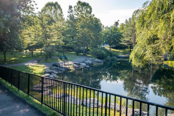 Pond in Glen Park in Williamsville NY