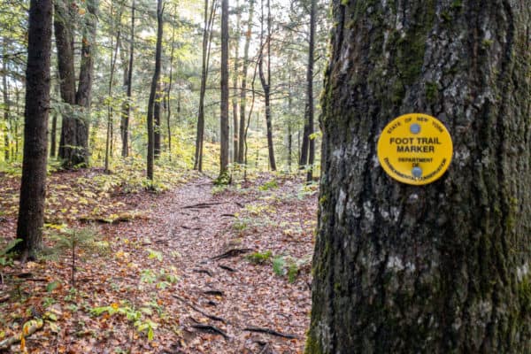 Trail marker in the Siamese Ponds Wilderness