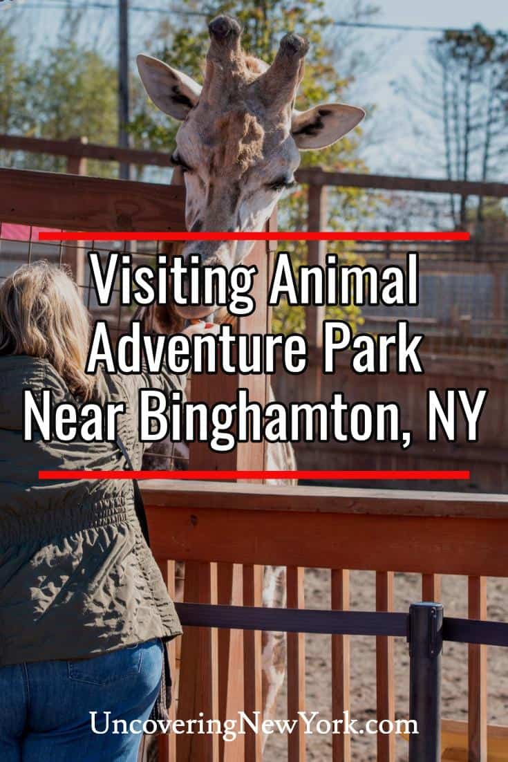 Exploring a Menagerie of Wildlife at the Animal Adventure Park Near