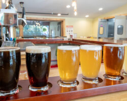 The 5 Best Breweries in Lake Placid, New York
