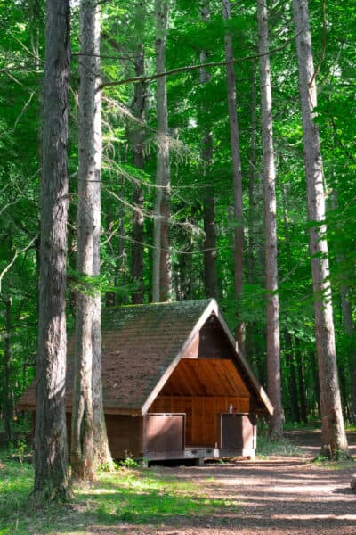 Abandoned cabin at Beechwood State Park in Sodus New York