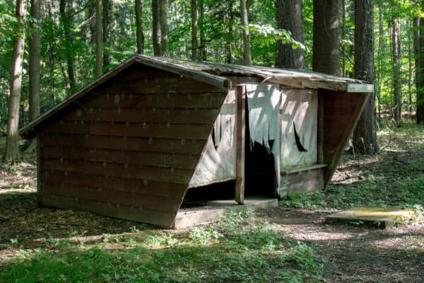 Adirondack lean-to in Beechwood State Park in the Finger Lakes