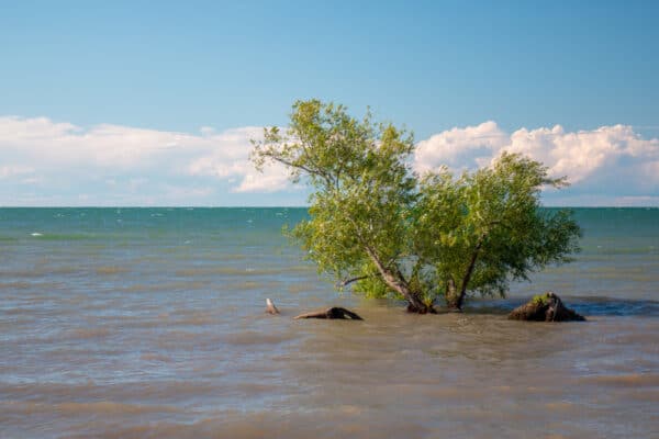 Lake Ontario in Beechwood State Park in New York