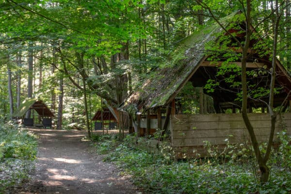 Group of abandoned cabins at Beechwood State Park in Sodus New York