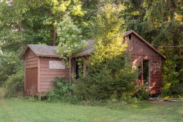 Abandoned cabin at Beechwood State Park in NY