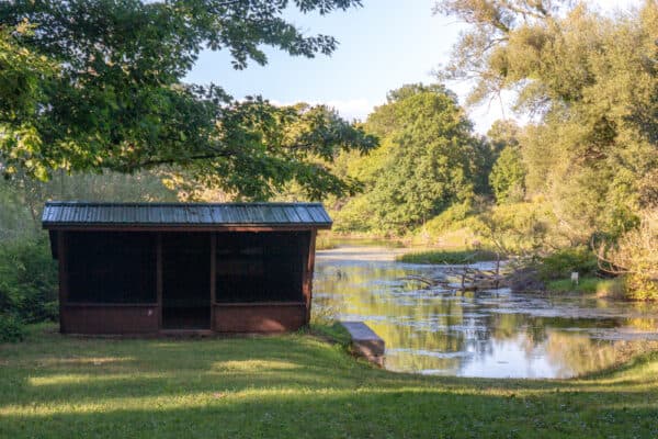 Historic cabin near a creek at Beechwood State Park