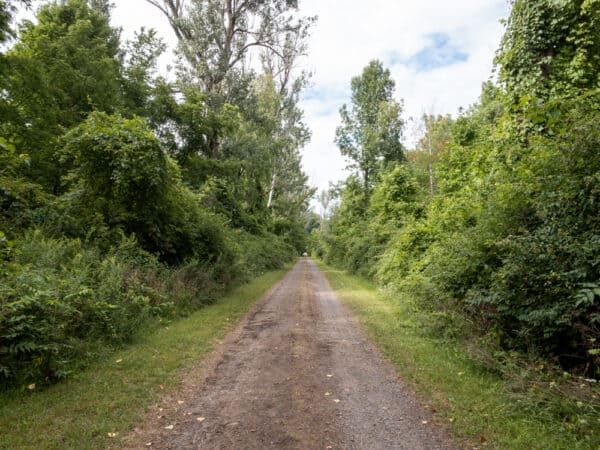 Trail in Beechwood State Park in Sodus Point New York