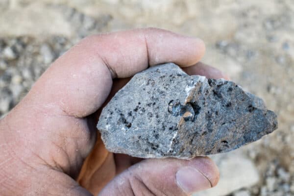 ținând o rocă dolomită cu un diamant Herkimer la minele de diamante Herkimer din New York