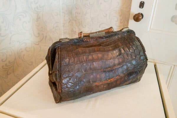 Susan B Anthony's Alligator purse