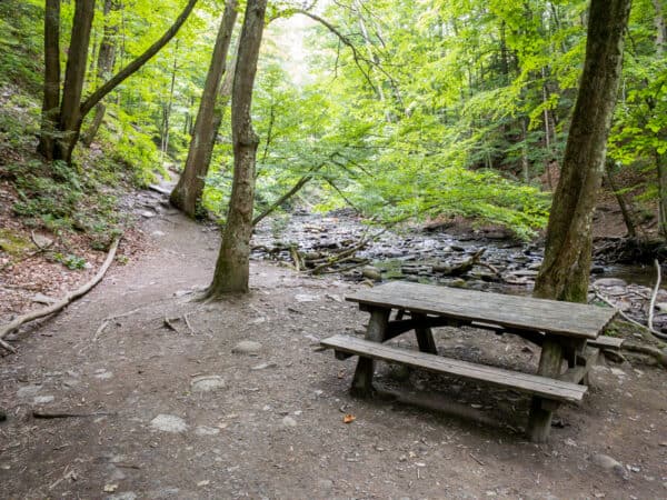 Picnic table at Grimes Glen Park in the Finger Lakes