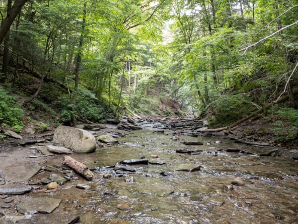 Grimes Creek in Naples, NY