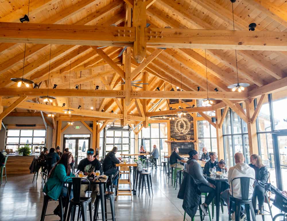 Beer Tree Brew Co. Near Binghamton One of New York's Best Breweries