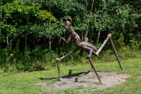 Giant bug sculpture at the Griffis Sculpture Garden in Southwestern NY