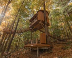 13 Incredible Treehouses in New York to Spend the Night In