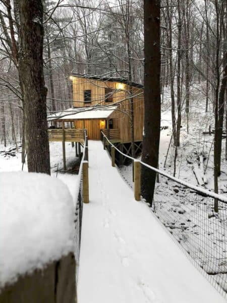 Suspension bridge Treehouse in New York