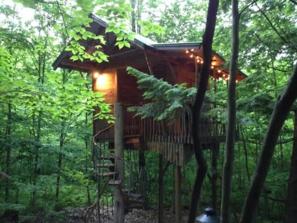 An Adirondack Tree House in New York