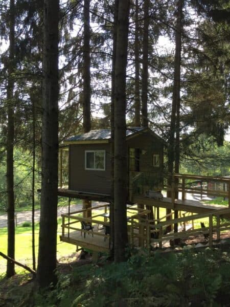 Wag Trail Inn Treehouse