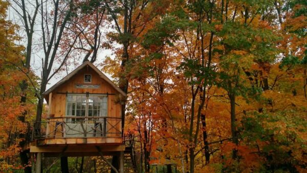 Whispering Wind Treehouse in Washington County New York