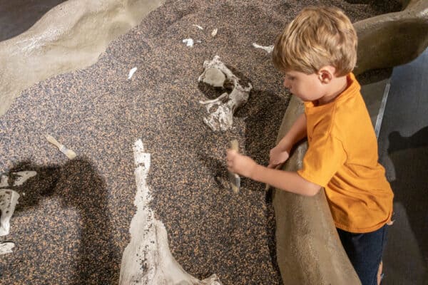 Kid digging for fossils at the Buffalo Museum of Science in western New York