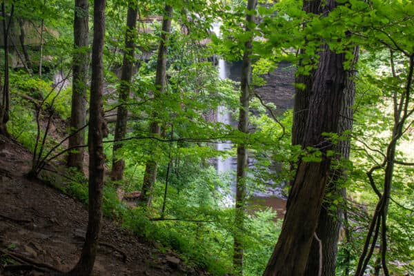 Carpenter Falls near Skaneateles Lake in New York